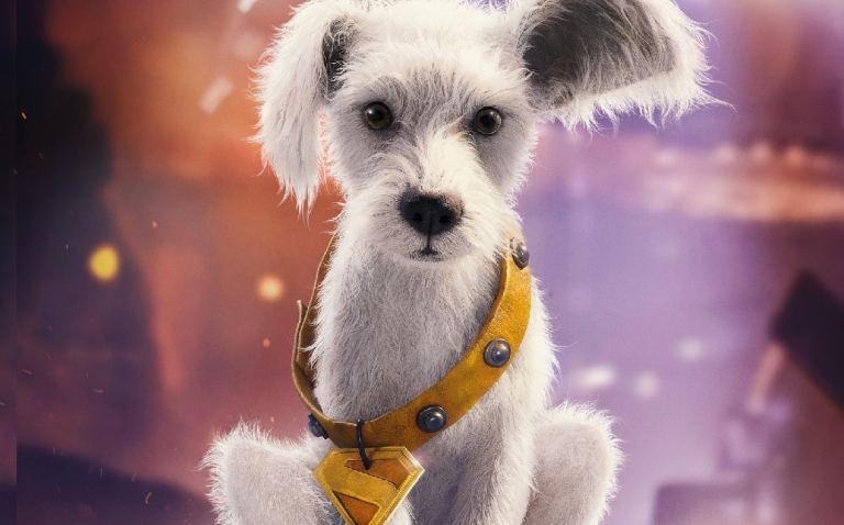 Move over Grogu! DC Shop unveils puppy Krypto merch! Move over Grogu! DC Shop unveils puppy Krypto merch!