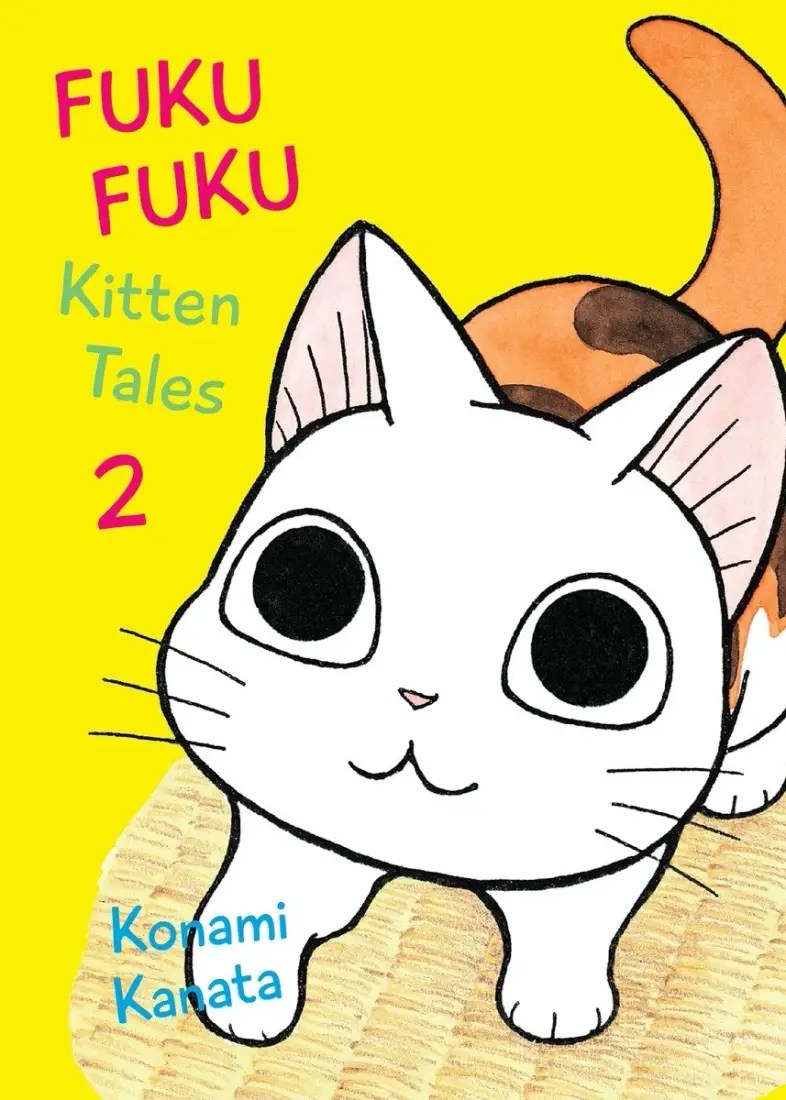 FAIRY TAIL Manga Box Set 2