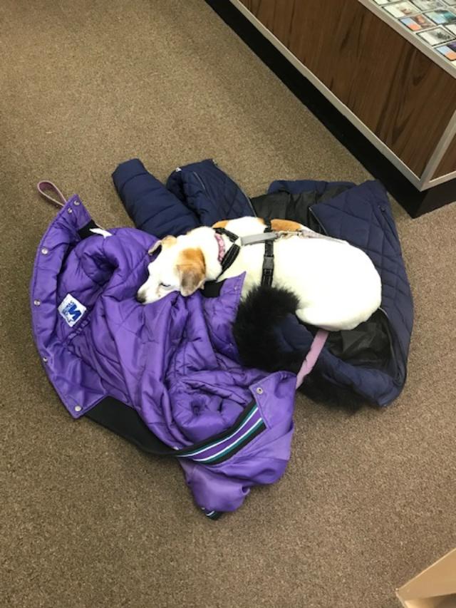 How To Market The Comic Store In Your Future How To Market The Comic Store In Your Future