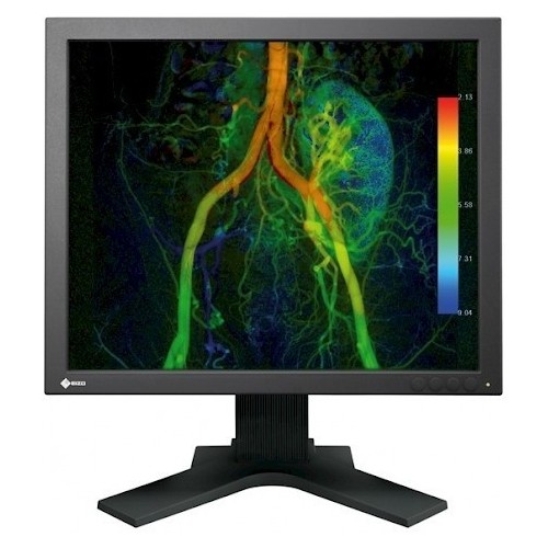 19" EIZO CuratOR EX190