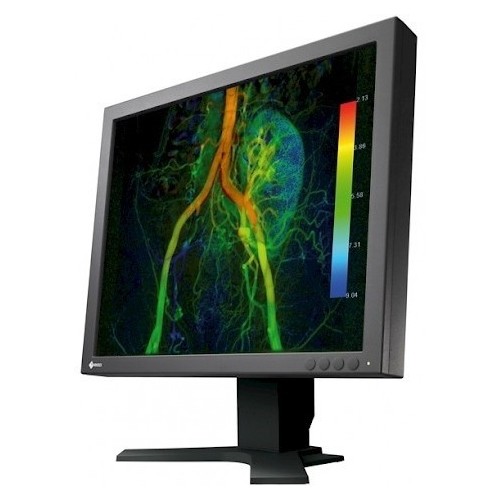 19" EIZO CuratOR EX190