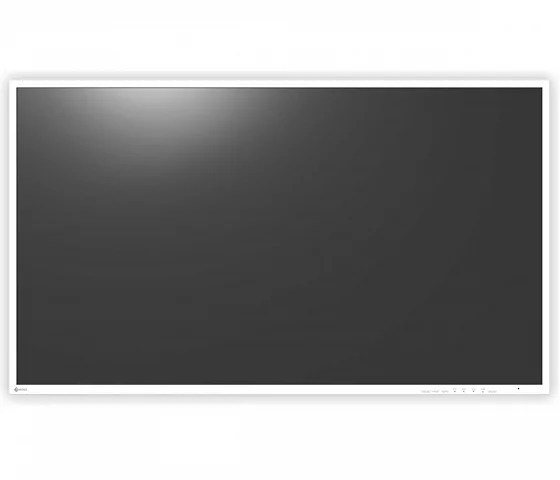 43" EIZO CuratOR EX4342