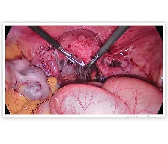 43" EIZO CuratOR EX4342-3D