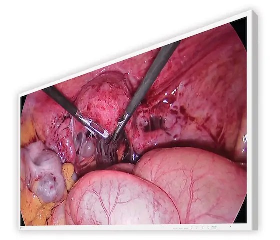 43" EIZO CuratOR EX4342-3D