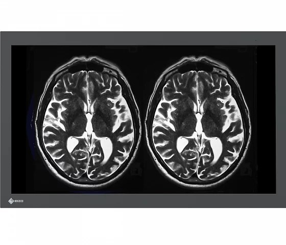 32" EIZO CuratOR LX3240-MR