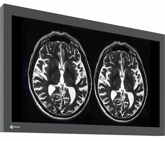 32" EIZO CuratOR LX3240-MR