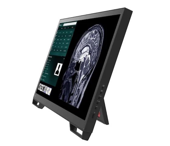 24" EIZO CuratOR LX2420-T