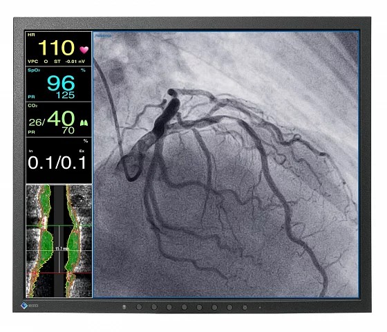 19" EIZO CuratOR LX1910