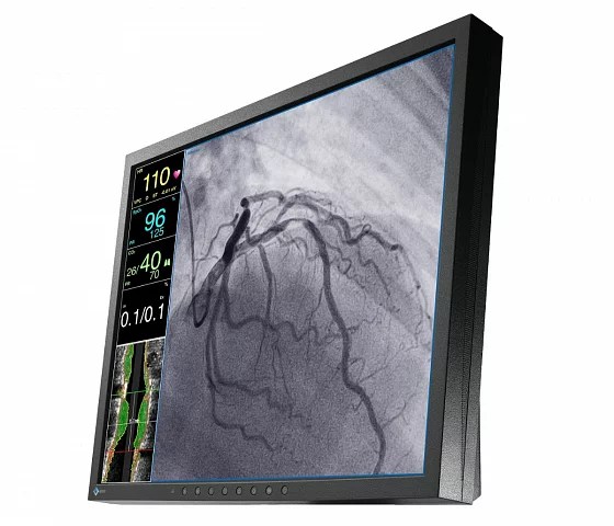 19" EIZO CuratOR LX1910