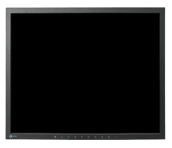 19" EIZO CuratOR LS1910