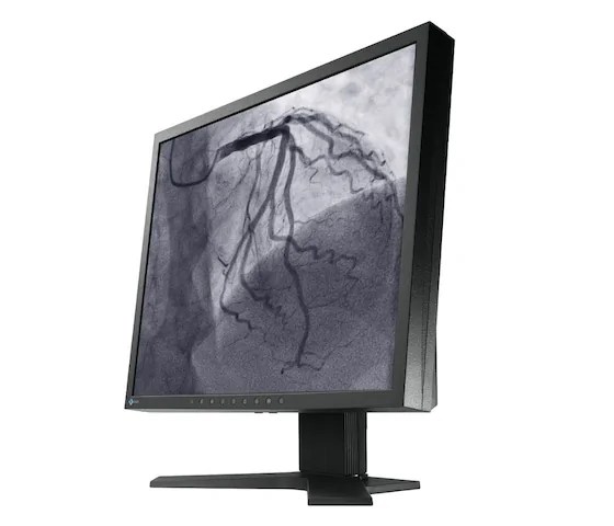 19" EIZO CuratOR LS1910