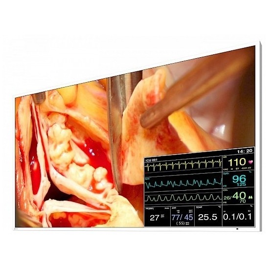 49" EIZO CuratOR LX491W