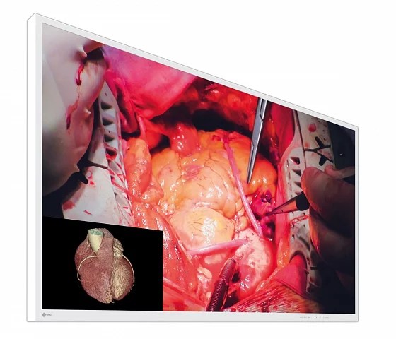 49" EIZO CuratOR EX4942