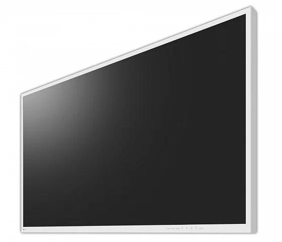 49" EIZO CuratOR EX4942