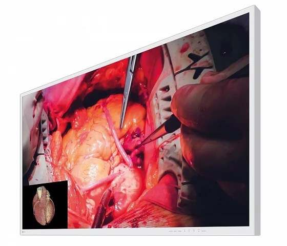 49" EIZO CuratOR EX4942