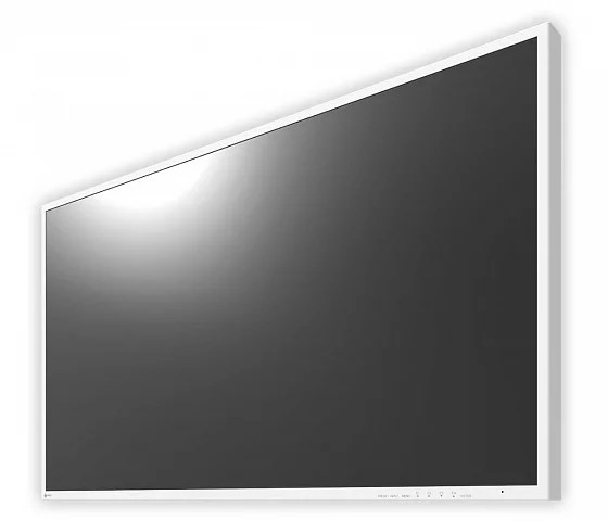 43" EIZO CuratOR EX4342