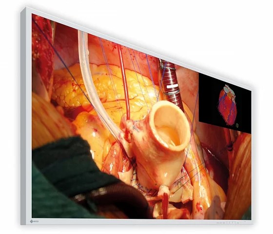 43" EIZO CuratOR EX4342