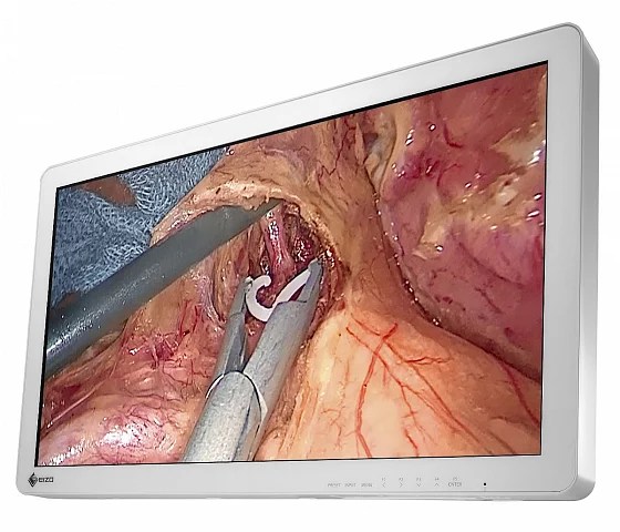 27" EIZO CuratOR EX2721