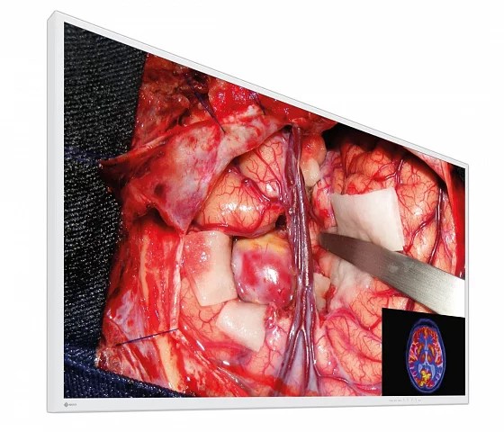 55" EIZO CuratOR EX5542