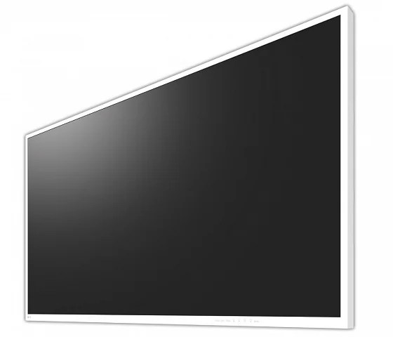 55" EIZO CuratOR EX5542