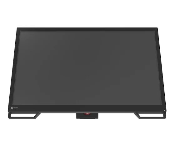 24" EIZO CuratOR LX2420-T