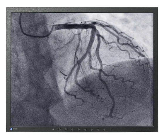 19" EIZO CuratOR LS1910