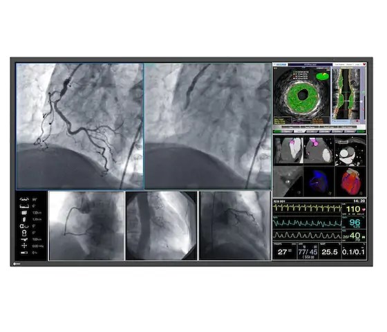 55" EIZO CuratOR LL550W