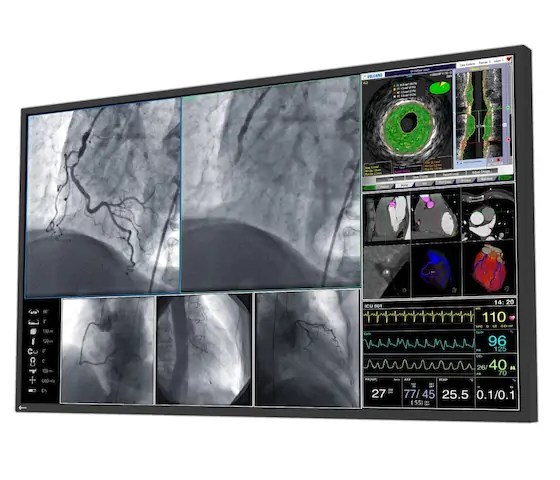 55" EIZO CuratOR LL550W