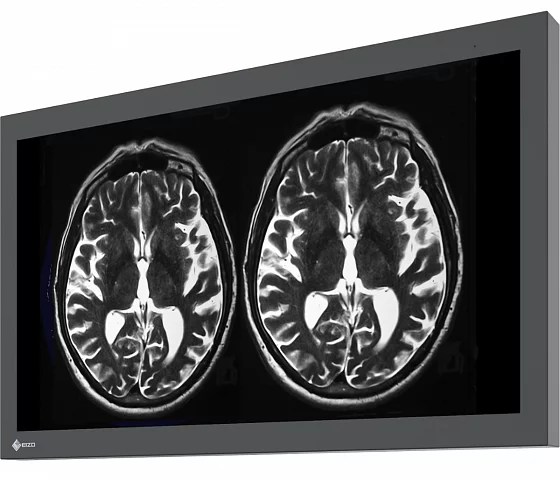 32" EIZO CuratOR LX3240-MR