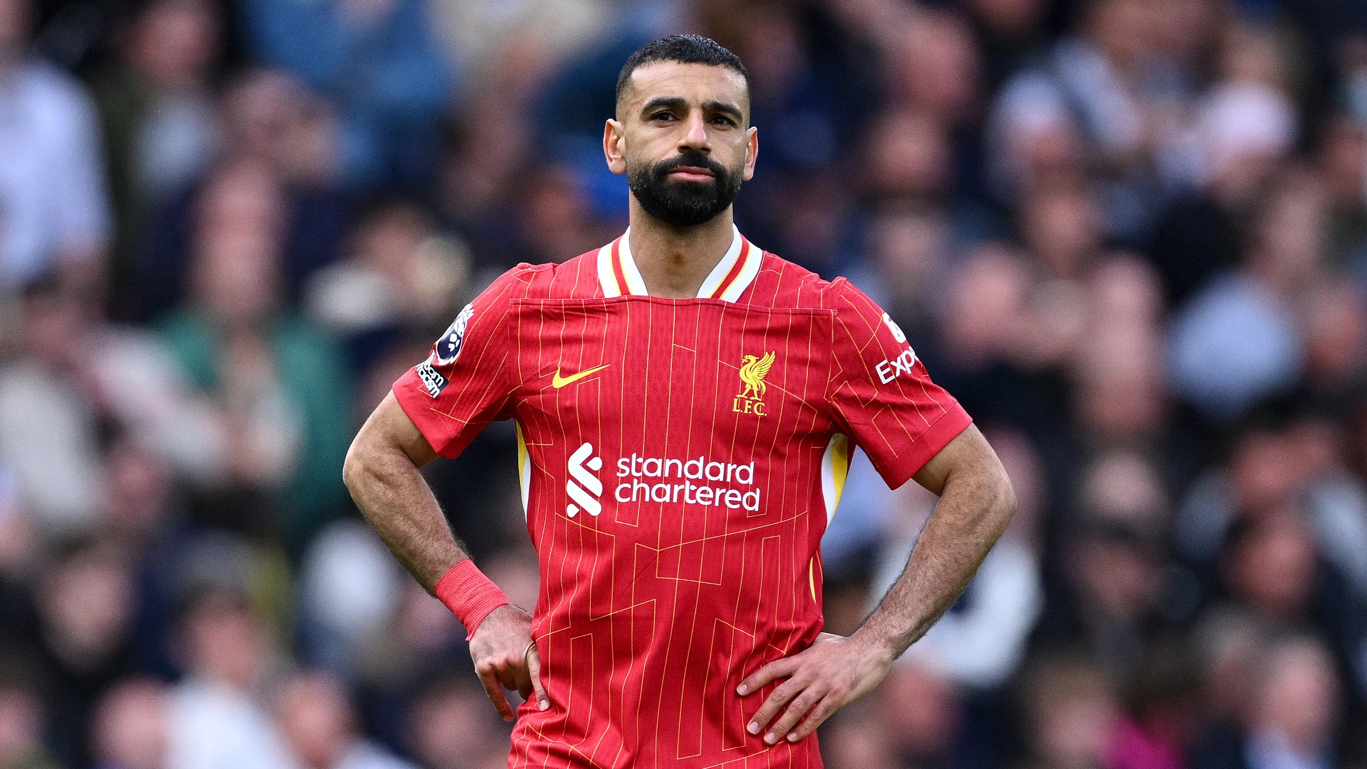 Brighton vs Liverpool: Live Stream, TV Info & Kick-off Brighton vs Liverpool: Live Stream, TV Info & Kick-off