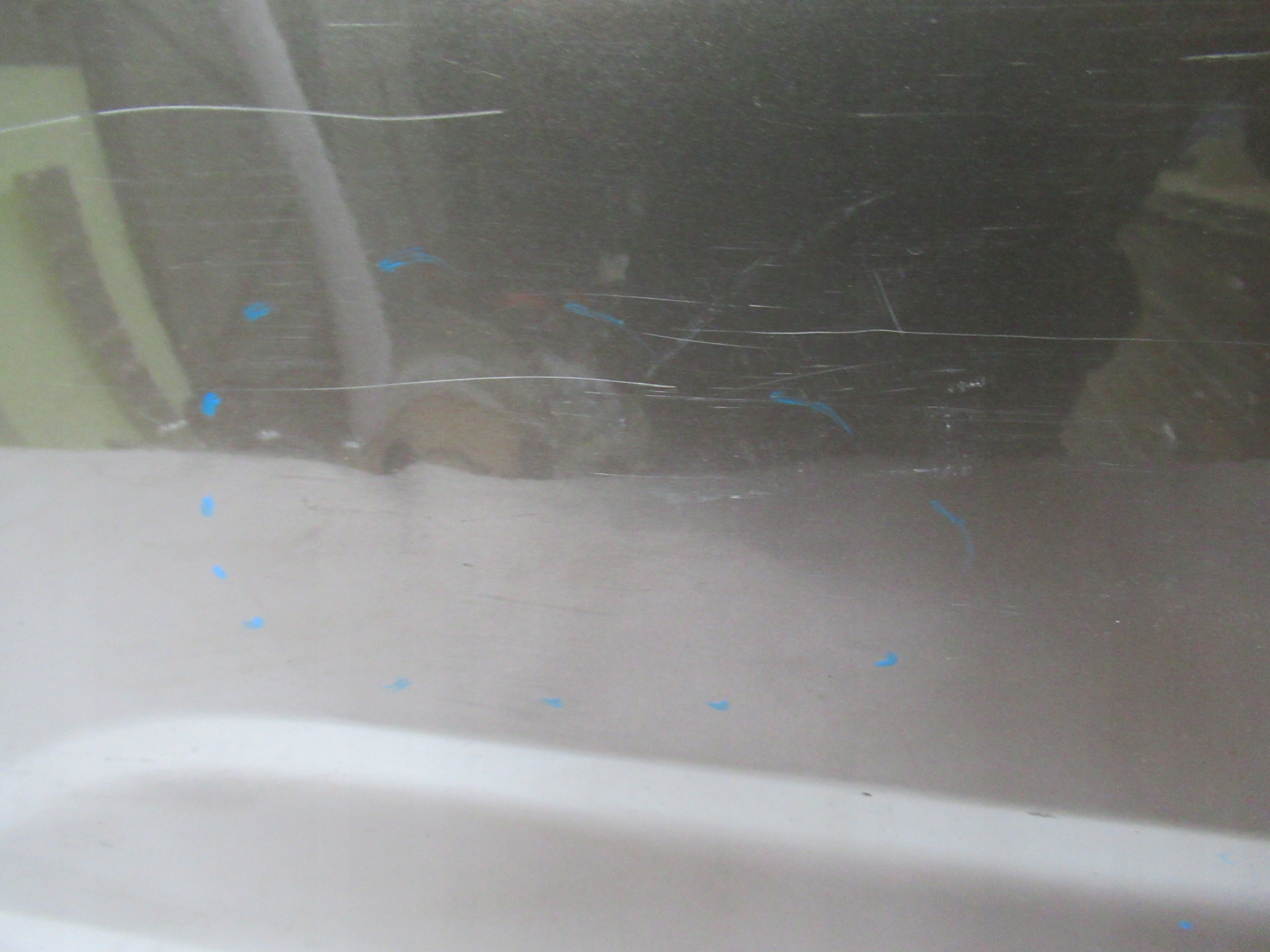 PRAVÉ ZADNÉ DVERE KIA VENGA 10-