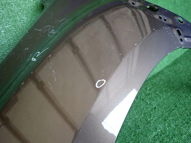 DACIA DUSTER II 17- ĽAVÝ PREDNÝ BLATNÍK