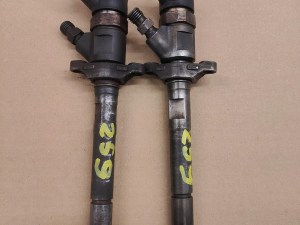 Peugeot ford 1.6 hdi 0445110259 VSTREKOVACIA TRYSKA Peugeot ford 1.6 hdi 0445110259 VSTREKOVACIA TRYSKA