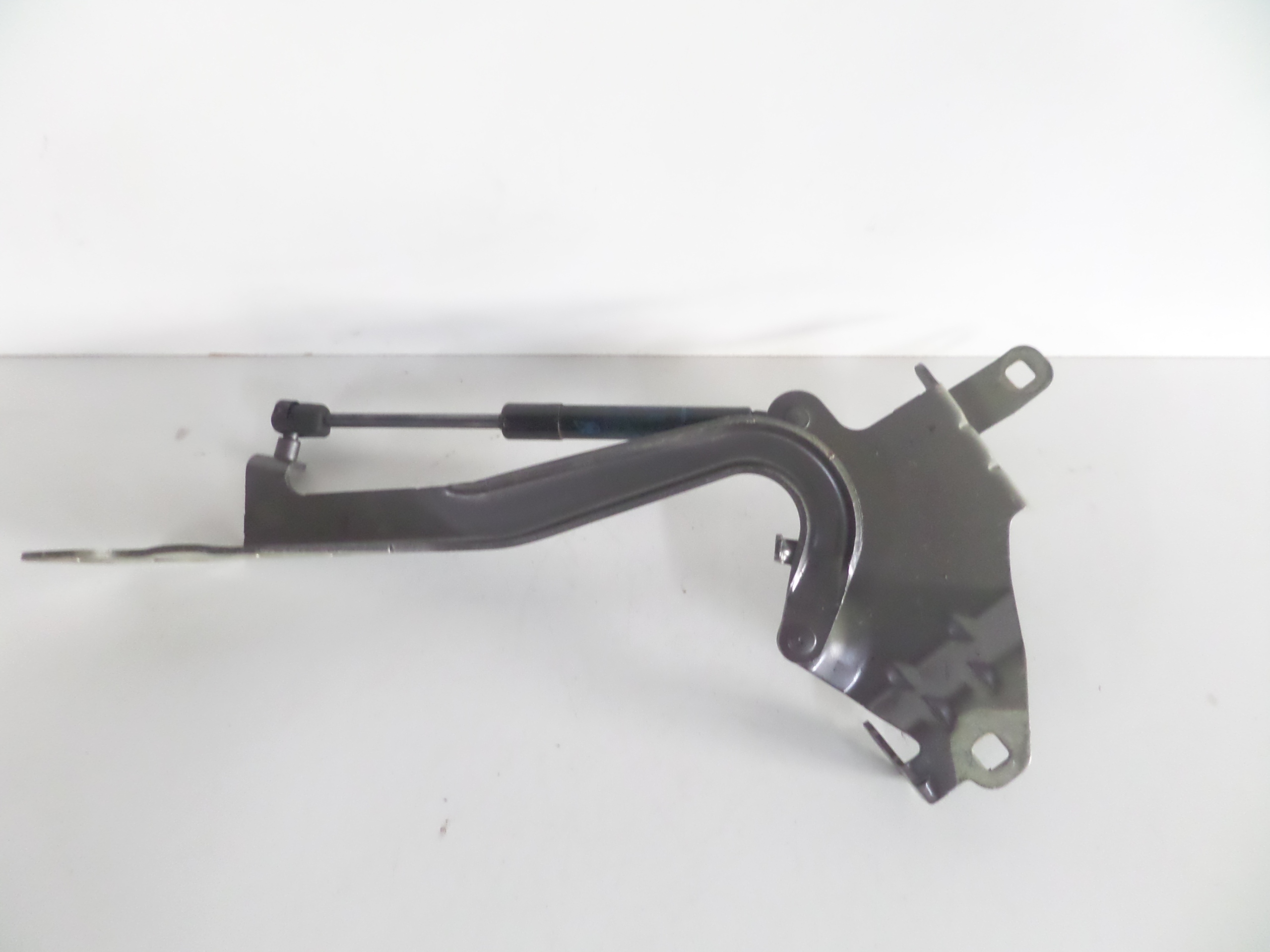 LAVY PANT PREDNEJ KAPOTY RENAULT SCENIC III 09-