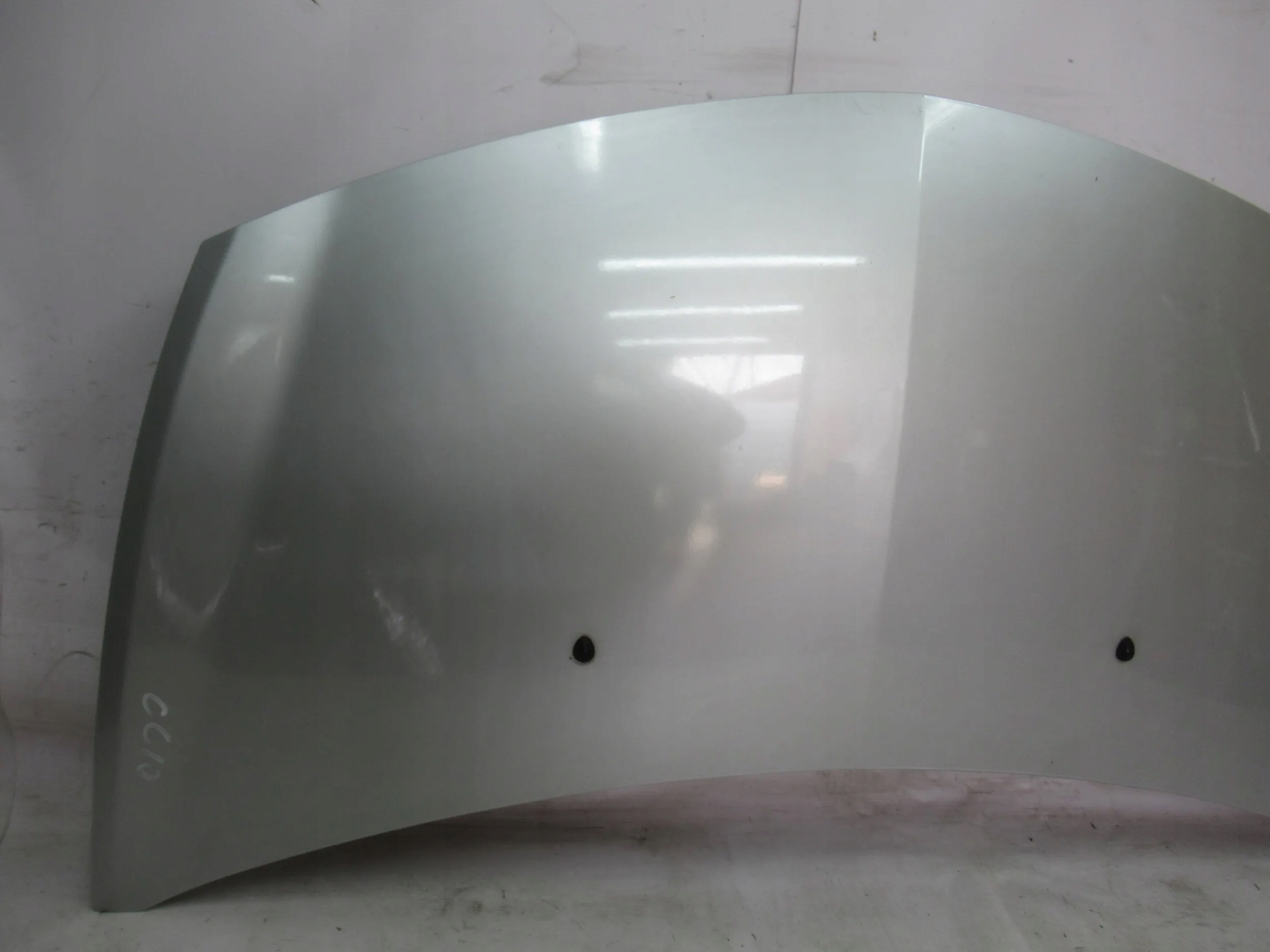 PREDNÁ KAPOTA RENAULT CLIO III LIFT 09-