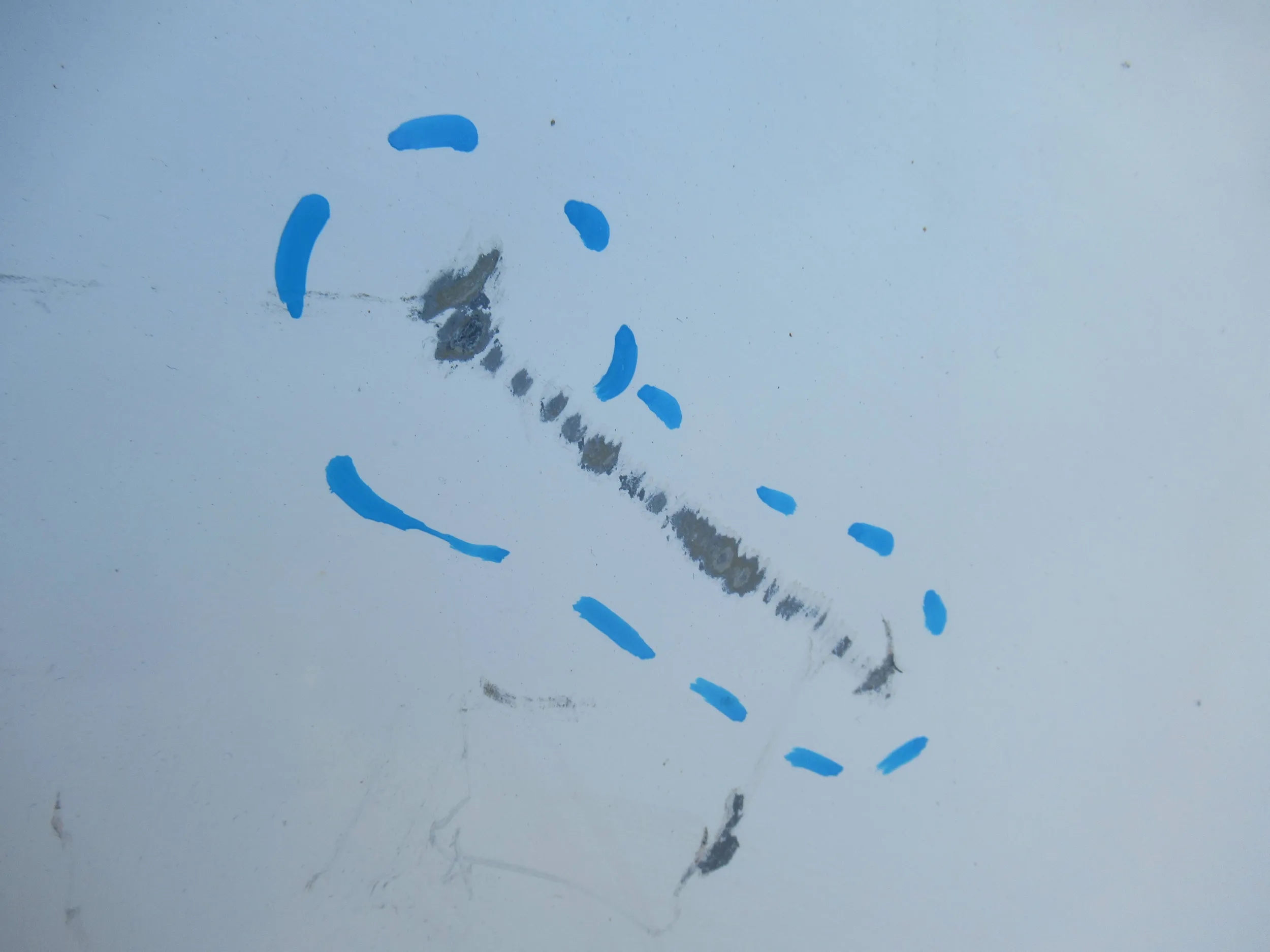 PREDNÁ KAPOTA FIAT PUNTO II 2