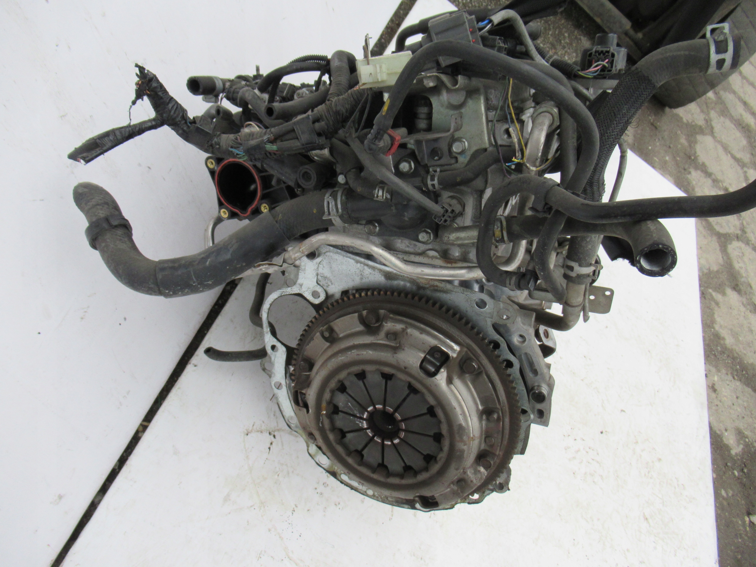 MOTOR ZJ MAZDA 2 DE 1.3 07-