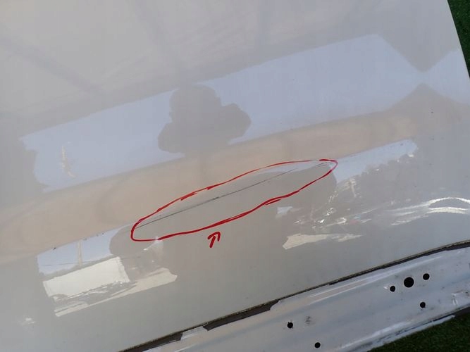 VW TIGUAN I 5N0 08-15 PRAVE PREDNE DVERE