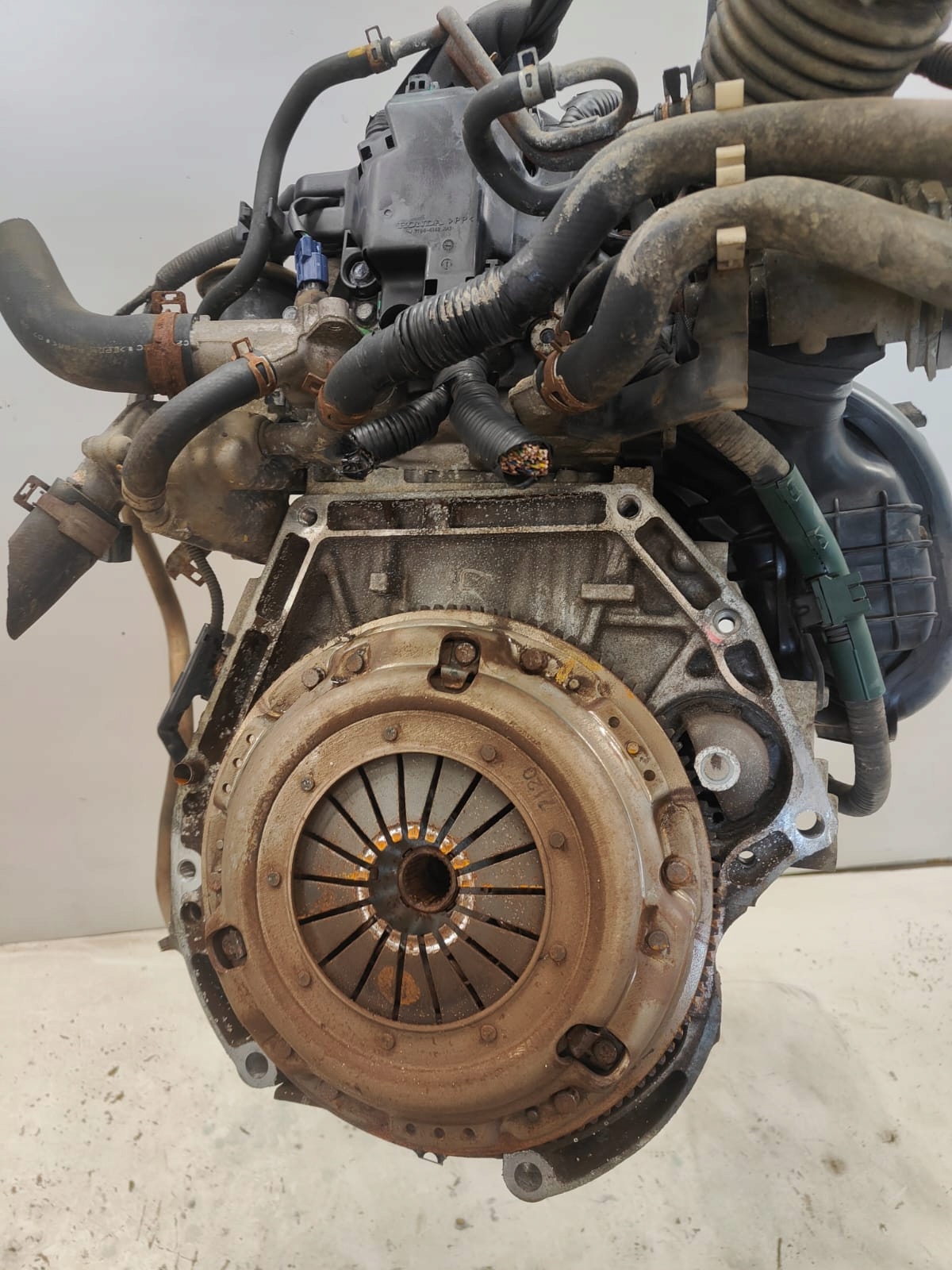 Honda 2.0 BENZIN R220A2 MOTOR V STAVE AKO NA FOTO