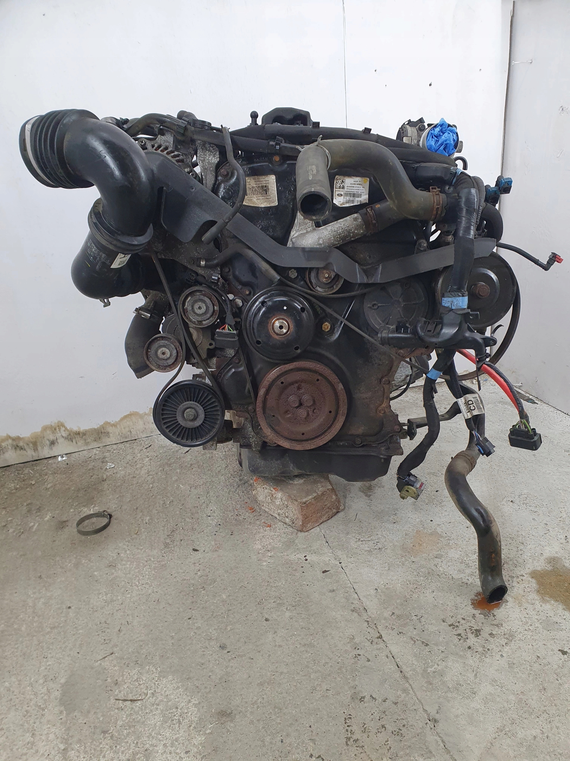 FORD RANGER III 3 015-2.2 TDCI MOTOR