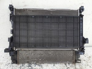 RENAULT TRAFIC III 1.6 DCI CHLADICE VENTILATOR 214818795R RENAULT TRAFIC III 1.6 DCI CHLADICE VENTILATOR 214818795R