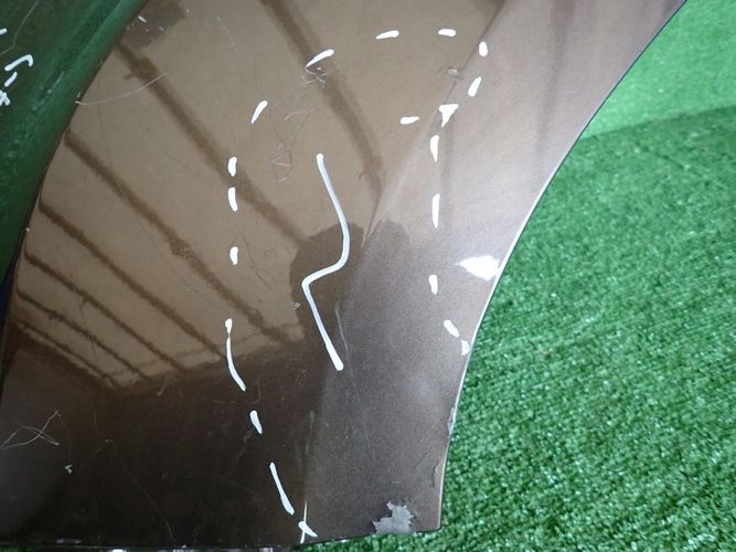 DACIA DUSTER II 17- ĽAVÝ PREDNÝ BLATNÍK