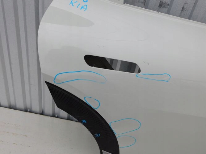 KIA EV6 PRAVE ZADNE DVERE