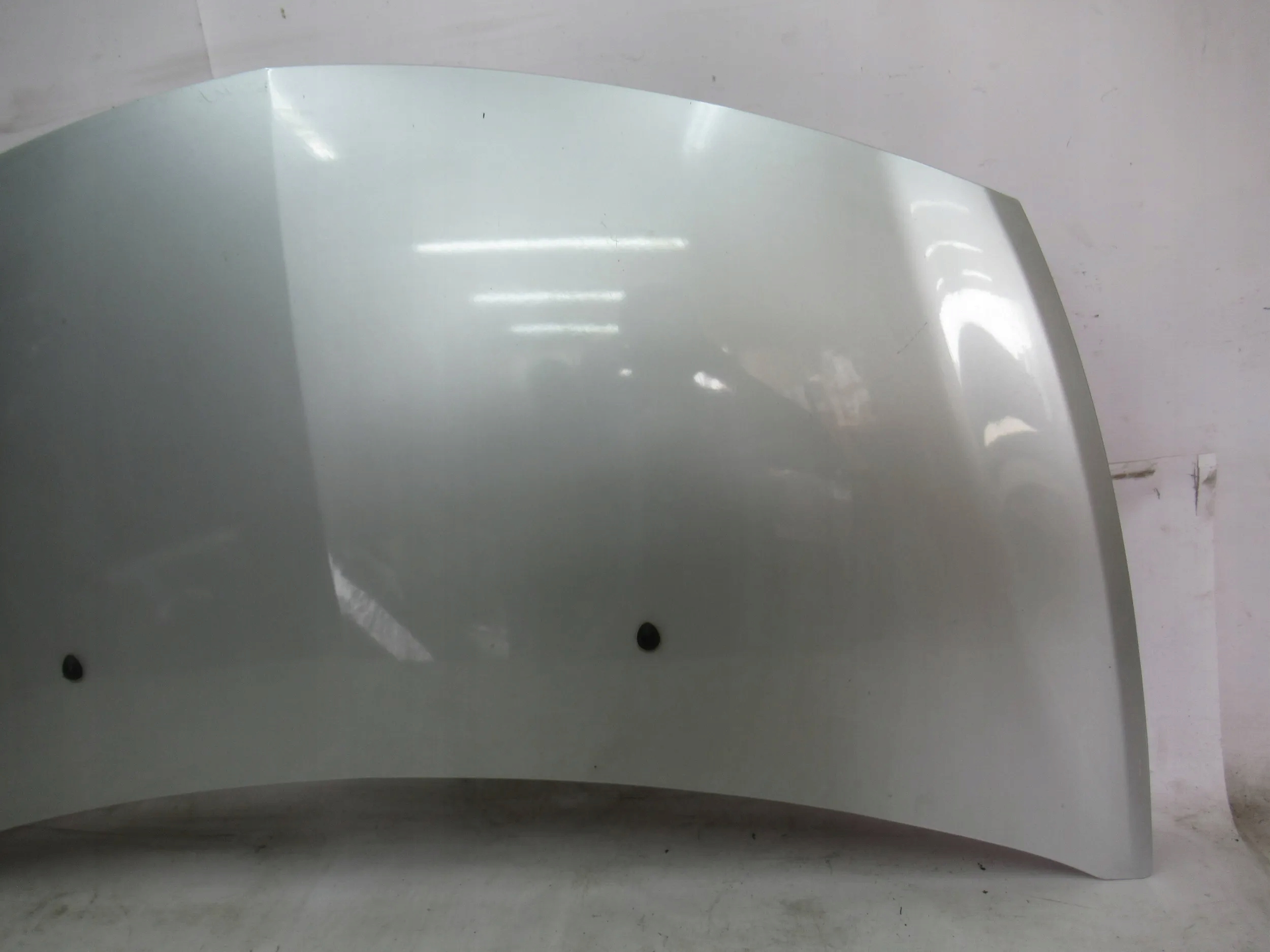 PREDNÁ KAPOTA RENAULT CLIO III LIFT 09-