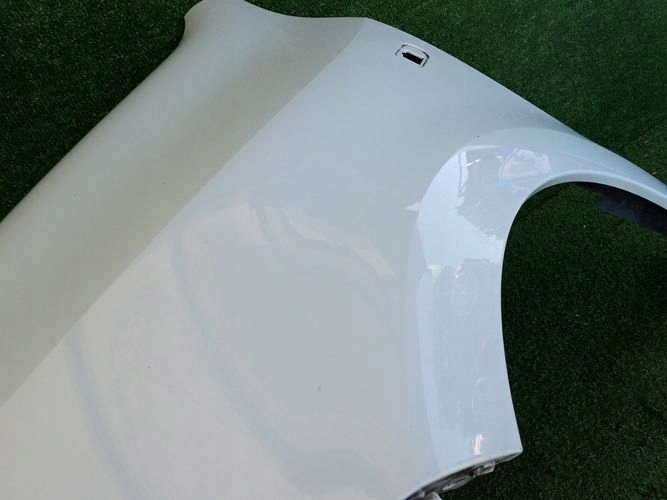 RENAULT TWONGO III 14- ĽAVÝ PREDNÝ BLATNÍK