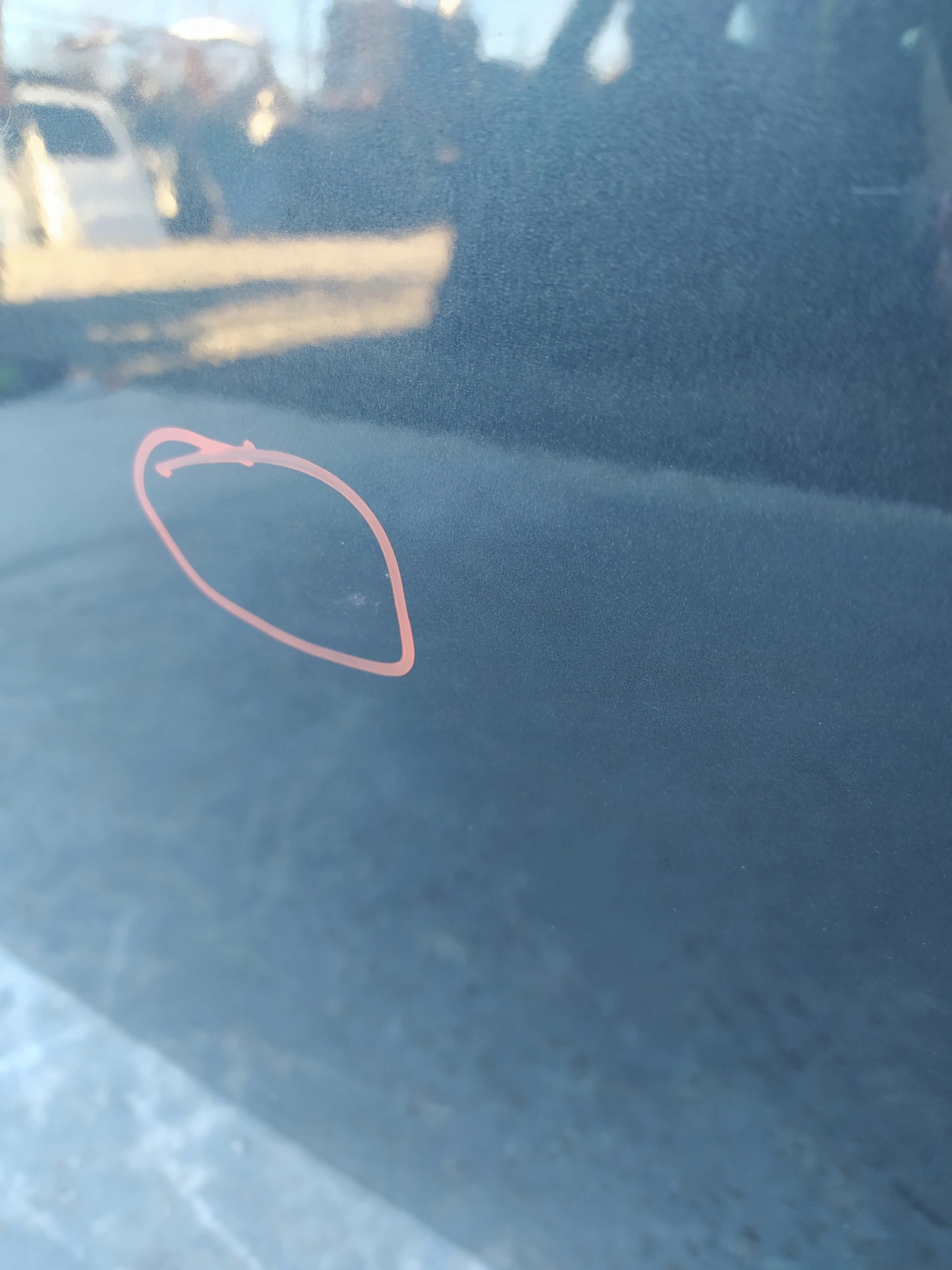 AUDI TT 8N PRAVE PREDNE DVERE