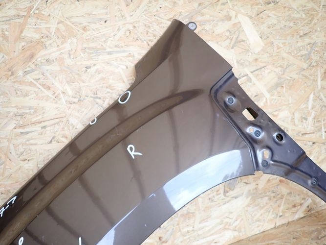 DACIA DUSTER II 17- ĽAVÝ PREDNÝ BLATNÍK