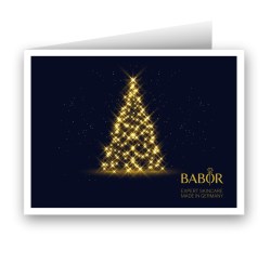 Darčekový poukaz BABOR – Vianoce (Kópia) Darčekový poukaz BABOR – Vianoce (Kópia)