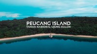 Menjelajahi Keindahan Tersembunyi Pulau Peucang: Permata Di Jantung Taman Nasional Ujung Kulon Menjelajahi Keindahan Tersembunyi Pulau Peucang: Permata Di Jantung Taman Nasional Ujung Kulon