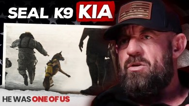 “He Got Shot Twice” – What Really Happens When a SEAL K9 Goes Down “He Got Shot Twice” – What Really Happens When a SEAL K9 Goes Down